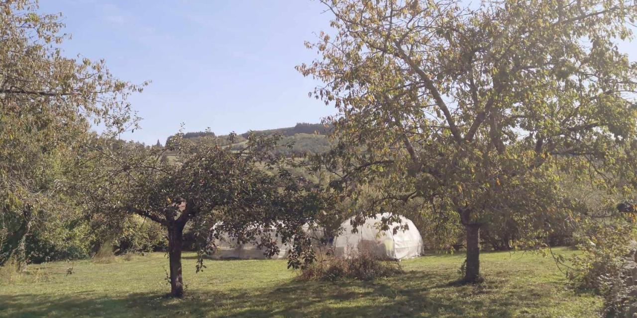 Petit Ou D'hotes 2/4 Personnes Buffieres